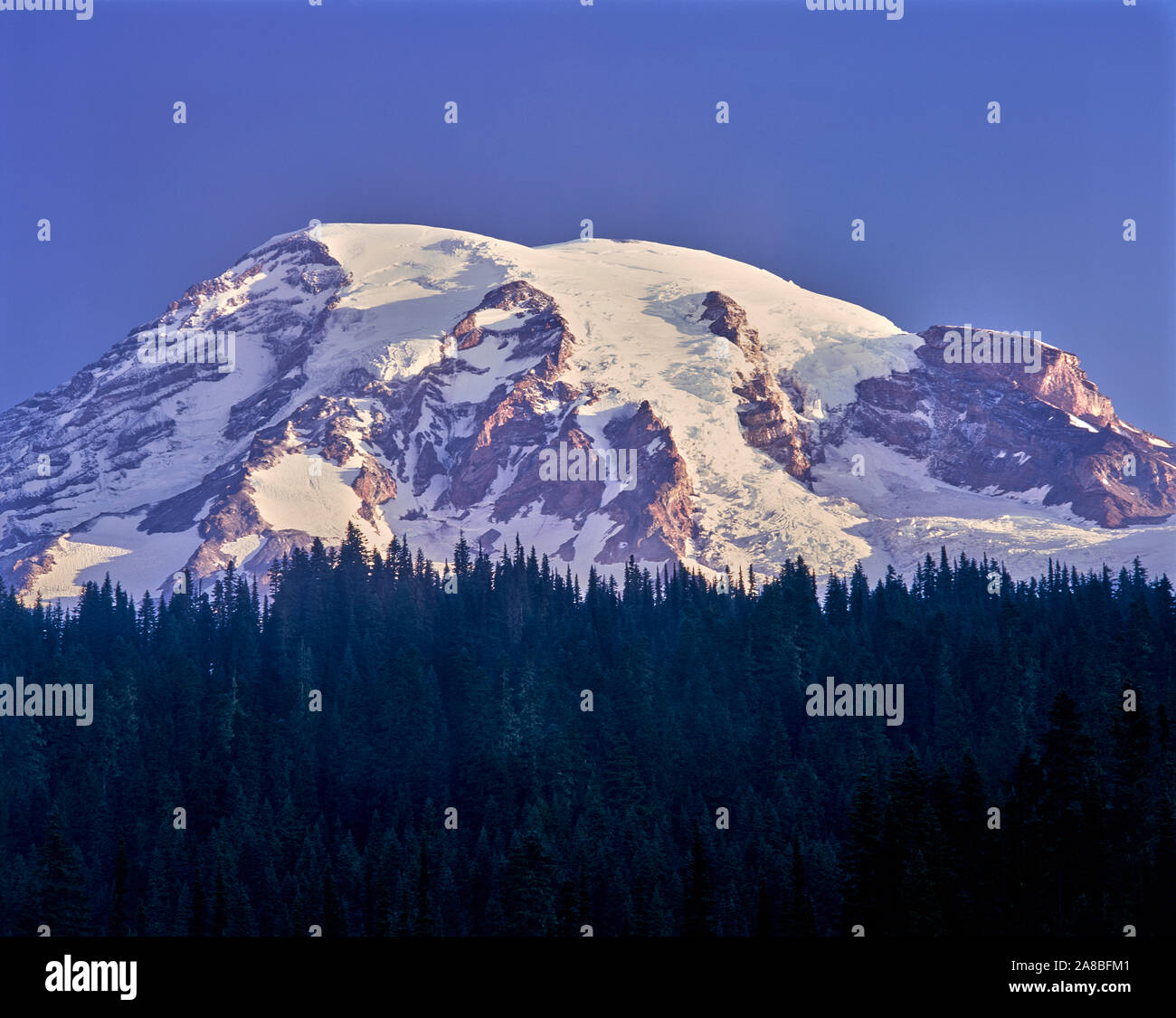 Gletscher auf Mt Rainier, Mt Rainier National Park, Washington State, USA Stockfoto