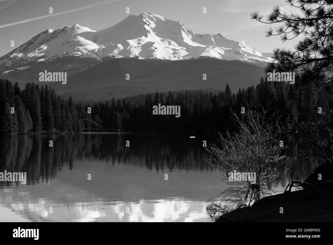 Blick auf den See und den Mount Shasta, Siskiyou County, Kalifornien, USA Stockfoto