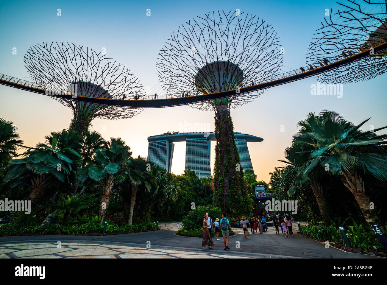 Südostasien, Singapur, berühmte Reiseziele Garten durch die Bucht Tourismus Reisen touristische Attraktion Supertree Grove in Blau Stockfoto