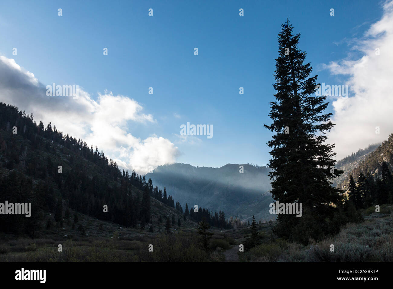 Eine Landschaft aus mineralischen König Straße im Sequoia Nationalpark (Kalifornien). Stockfoto