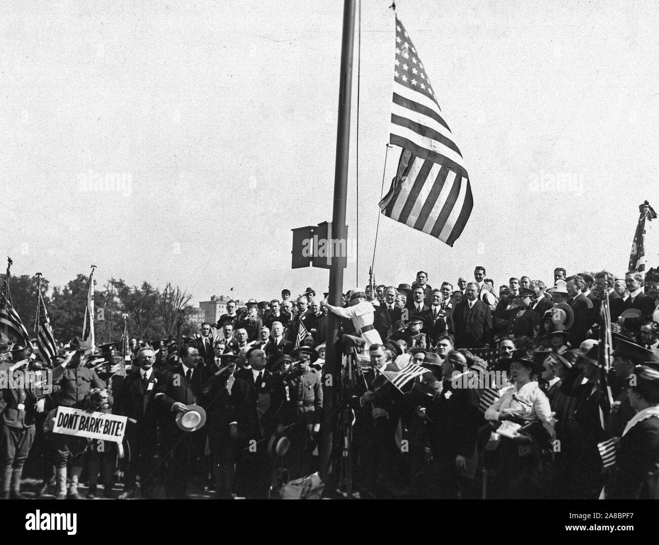 1918 - Flagge Anhebung auf Flag Tag, NEW YORK, sechs Jahre alten Johnnie Mahoney, die Flagge im Central Park, New York City. Die Feier wurde von Bürgermeister Hylan und andere Vertreter der Stadt überprüft Stockfoto