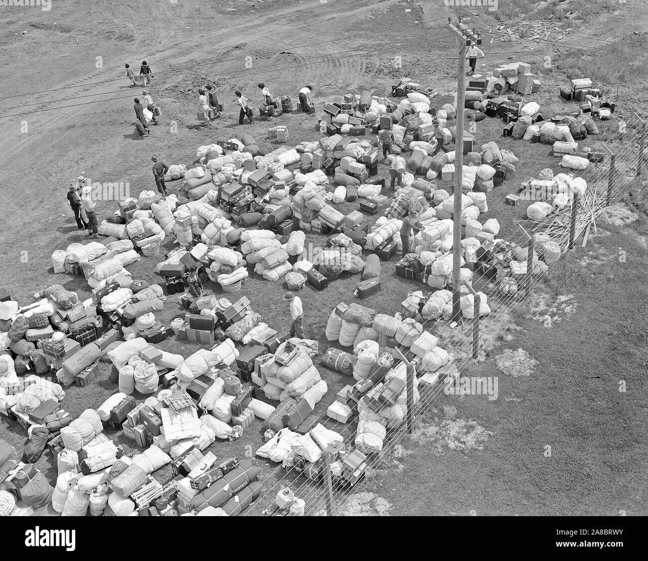 Salinas, Kalifornien. Umsiedler von japanischen Vorfahren finden sie ihr Gepäck an dieser Sammelstelle, vor einem Krieg, Relocation Authority Center 3/31/1942 Transfer Stockfoto