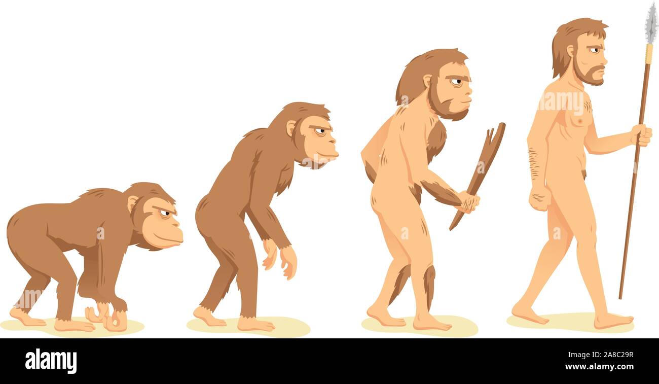 Die Evolution des Menschen vom Affen zum Menschen, ape, Aborigine und Männer Vector Illustration Cartoon. Stock Vektor