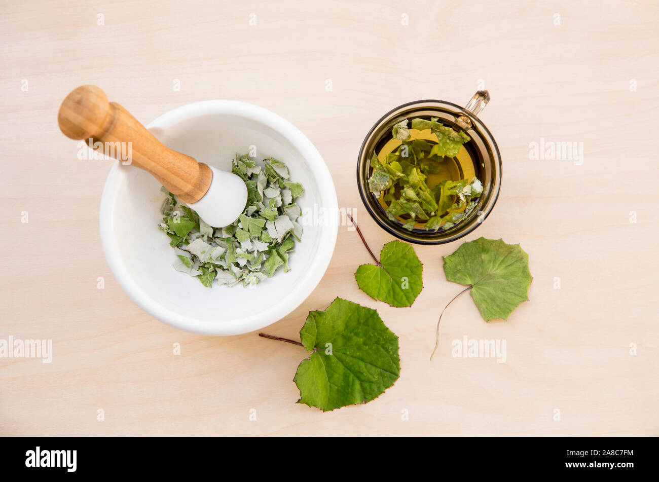 Getrocknete Tussilago farfarfarfarfarfara ( Hustkraut, Tashpflanze, Farfarfara), die allgemein als Coltsfoot bekannt ist und als natürliches Hustenmittel gilt. Tee-Glas mit frischen Blättern, Stockfoto