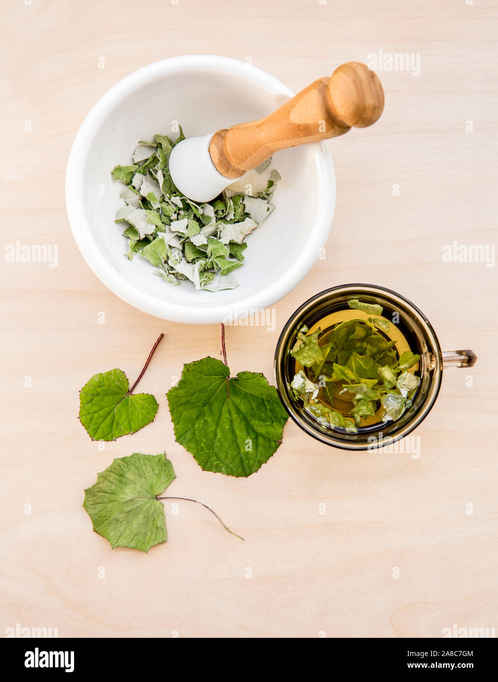 Getrocknete Tussilago farfarfarfarfarfara ( Hustkraut, Tashpflanze, Farfarfara), die allgemein als Coltsfoot bekannt ist und als natürliches Hustenmittel gilt. Tee-Glas mit frischen Blättern, Stockfoto