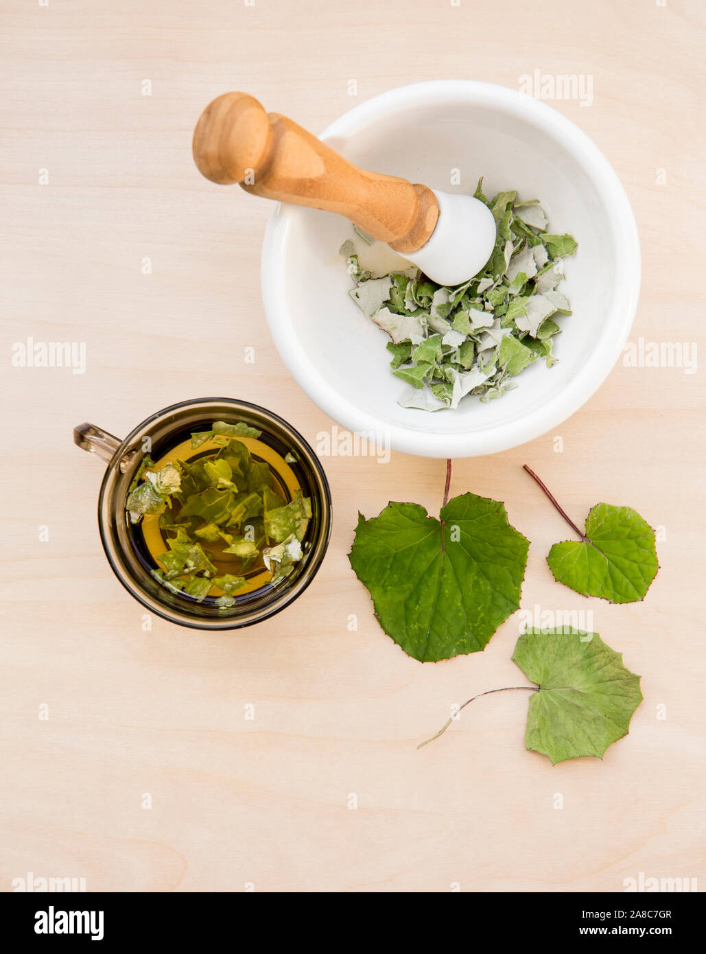 Getrocknete Tussilago farfarfarfarfarfara ( Hustkraut, Tashpflanze, Farfarfara), die allgemein als Coltsfoot bekannt ist und als natürliches Hustenmittel gilt. Tee-Glas mit frischen Blättern, Stockfoto