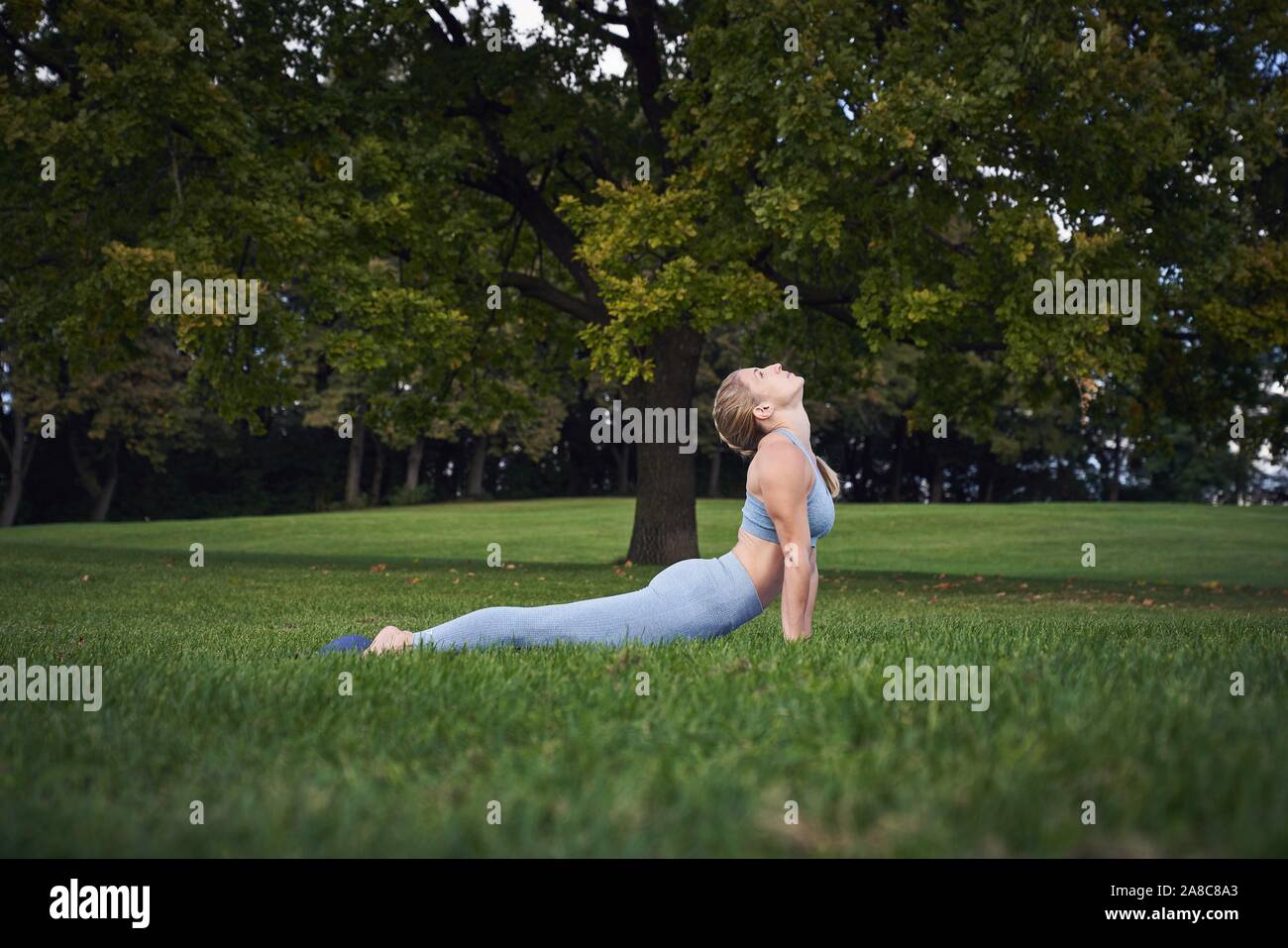 Junge Frau Yoga im Park, Gymnastik, Olympiapark, München, Deutschland Stockfoto