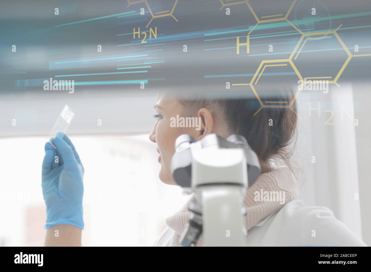 Junge weibliche Labor Wissenschaftler im Labor mit Reagenzgläsern und Mikroskopen, Test oder Forschung im klinischen Labor. Wissenschaft, Chemie, Biologie, Stockfoto
