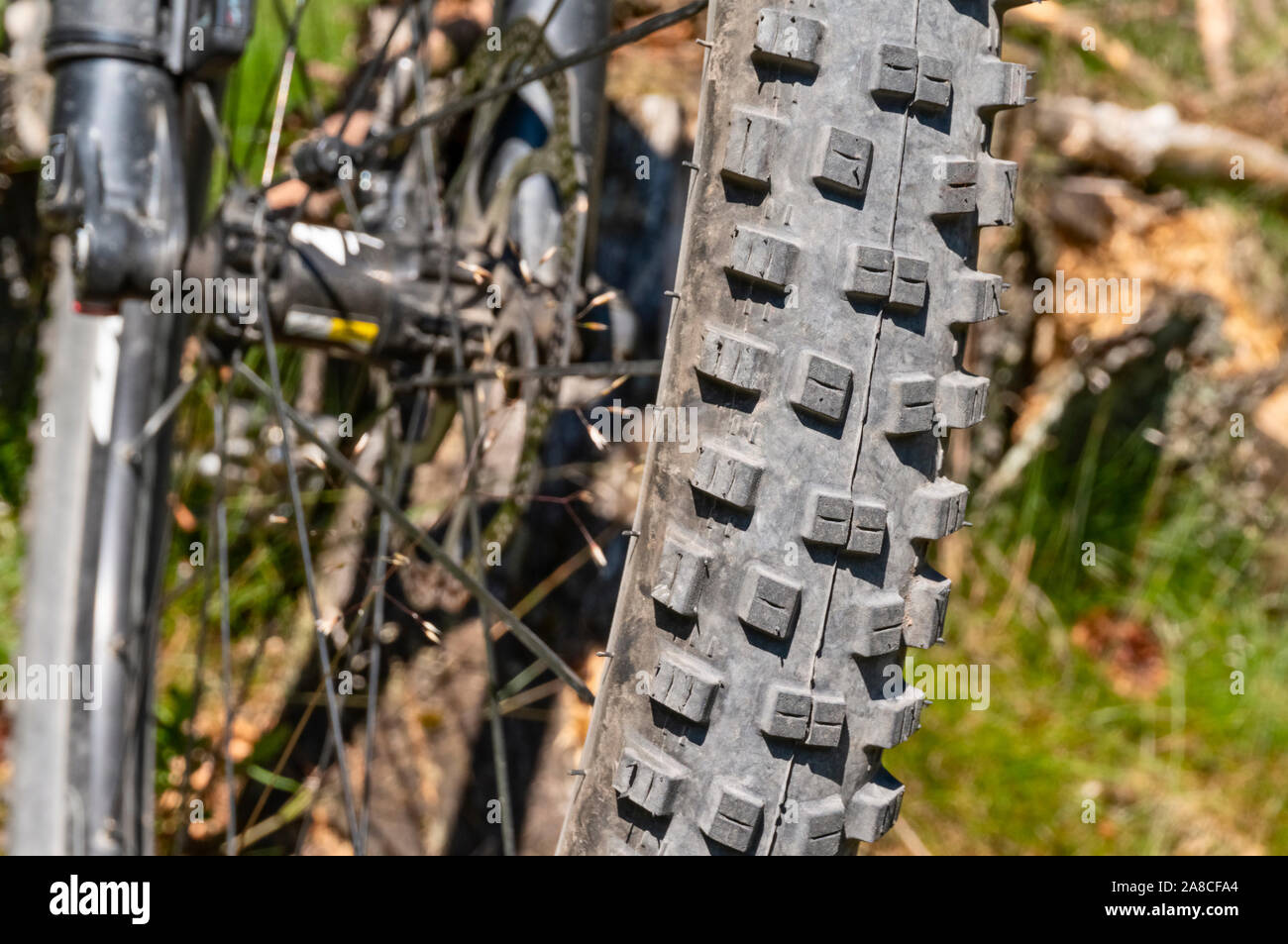 Detail des Profils eines Mountainbike Reifen Stockfoto