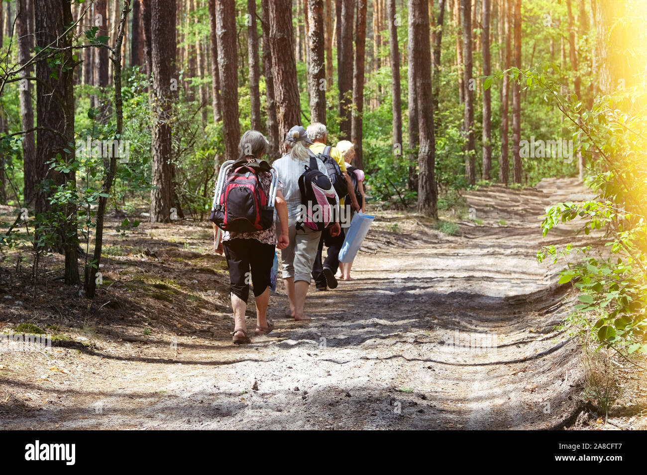 Ältere Menschen zu Fuß auf den Weg in den Wald. Sommertag. Aktive Pensionierte Senioren wandern im Green Park. Stockfoto