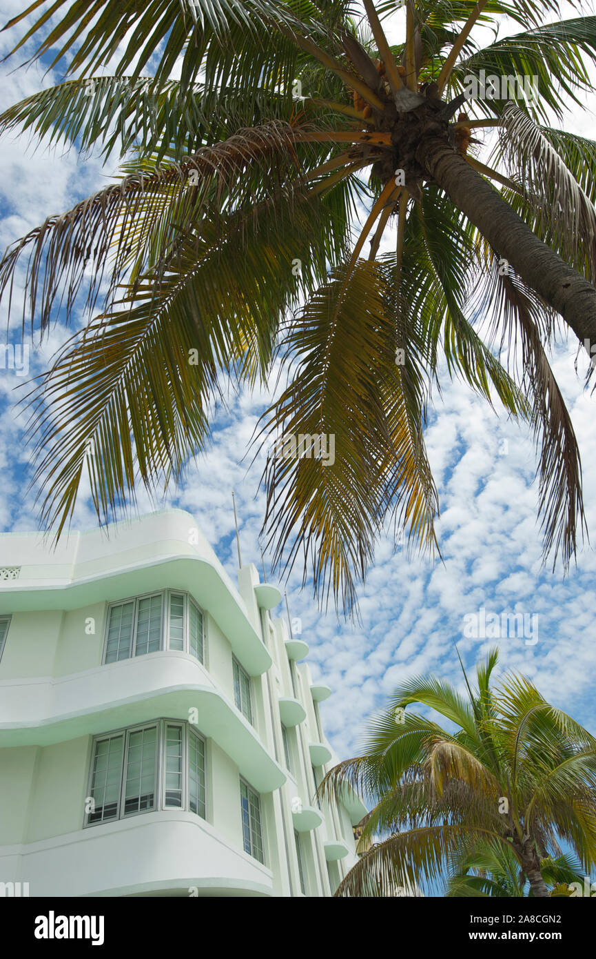 Blick auf Palmen und typische Art Deco Architektur in Pastellfarben in Miami Beach, Florida Stockfoto