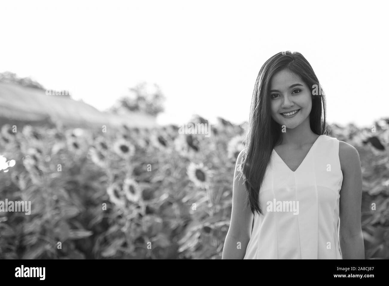 Junge asiatische Frau gerne im Bereich der Blühende Sonnenblumen lächelnd Stockfoto