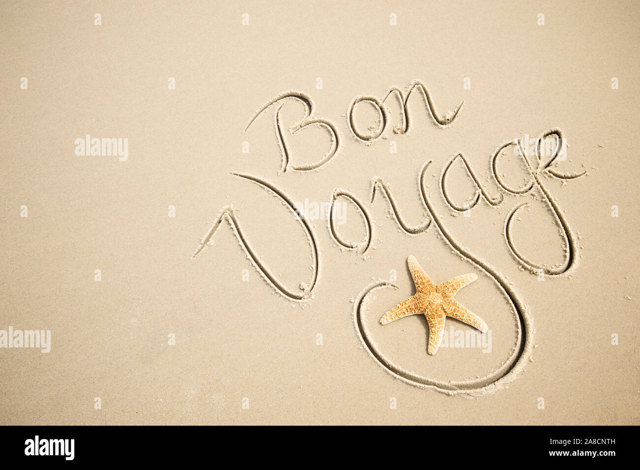 Bon Voyage Nachricht handschriftlich mit einem Kalligraphie Skript auf einer glatten Sandstrand mit ein Seestern blühen Stockfoto