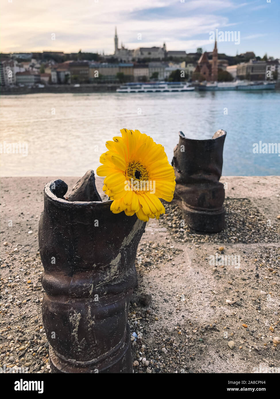 Budapest, Ungarn - Nov 6, 2019: Schuhe am Donauufer. Denkmal für die Juden, die von den Faschisten während des Zweiten Weltkrieges getötet wurden Ehre Bügeleisen Schuhe mit gelbe Blume. Verschwommen Stadt im Hintergrund. Stockfoto