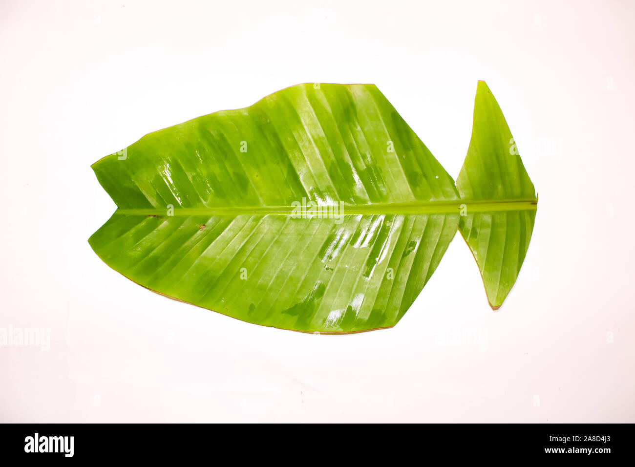 Kreative Banana Leaf in einem Fisch geschnitten Stockfoto