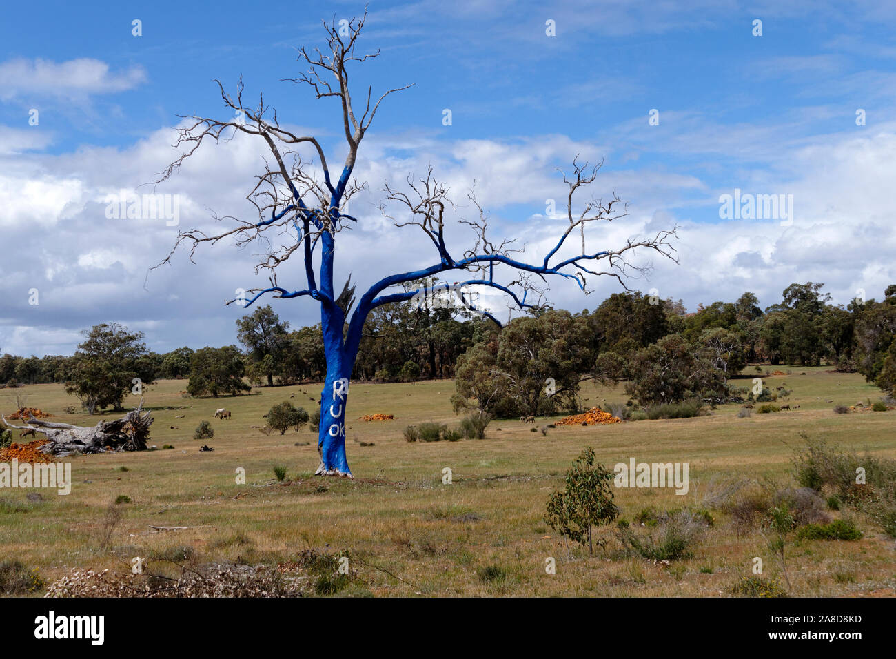 Sind Sie ok Tree' R U OK' Baum Blau symbolisiert die geistige Krankheit gemalt, Toodyay, Western Australia Stockfoto