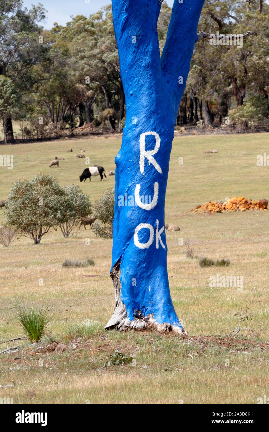Sind Sie ok Tree' R U OK' Baum Blau symbolisiert die geistige Krankheit  gemalt, Toodyay, Western Australia Stockfotografie - Alamy