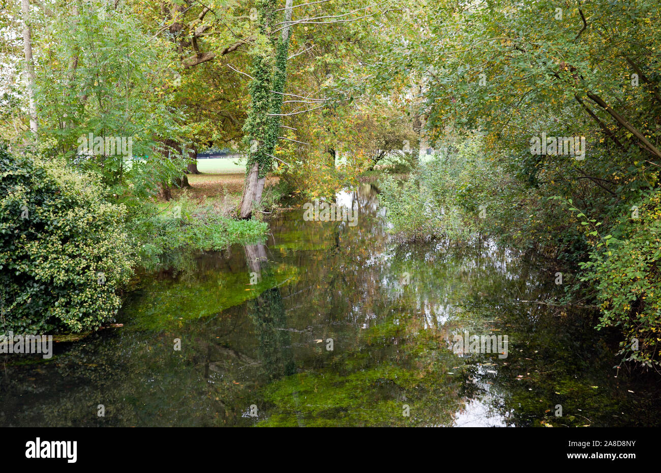 Eine schöne, Herbstliche, Abschnitt des Flusses Itchen, in der Nähe von Winchester, Hampshire Stockfoto