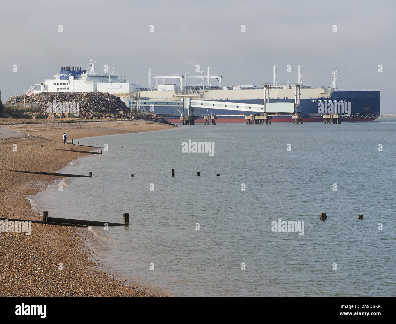 Sheerness, Kent, Großbritannien. 8. November 2019. Russische LNG-Tanker "georgij Brusilov" gesehen, die sich aus Sheerness Docks nach dem Verlassen des National Grid Grain LNG-Terminals. Grain LNG ist von strategischer nationaler Bedeutung zu den BRITISCHEN Energieinfrastruktur und ist die größte LNG-Terminal in Europa. Es hat eine neue Erhöhung der Besuche von LNG verschifft worden, da die Nachfrage nach Erdgas steigt in die kalte Jahreszeit. Credit: James Bell/Alamy leben Nachrichten Stockfoto