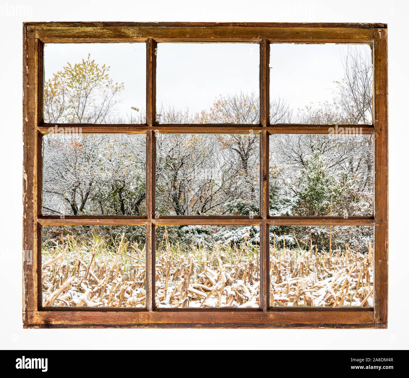Geerntete mais Feld und Wald im Herbst Landschaft mit einem frischen Schnee wie aus einem Jahrgang Schiebefenster gesehen Stockfoto