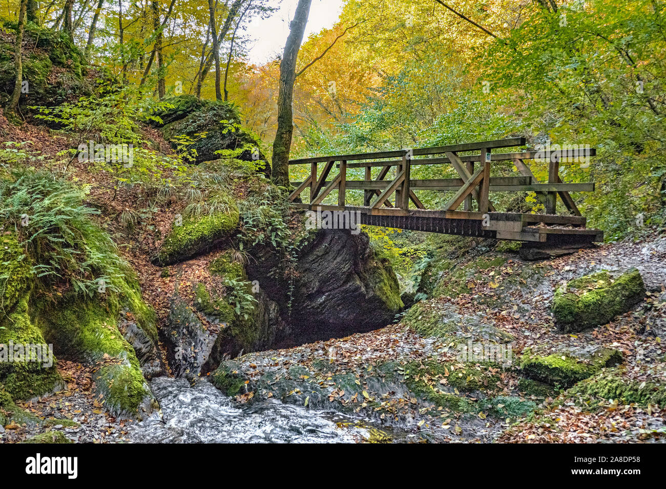 Ehrbachklamm, Deutschland, Rheinland-Pfalz, Traumschleife Stockfoto