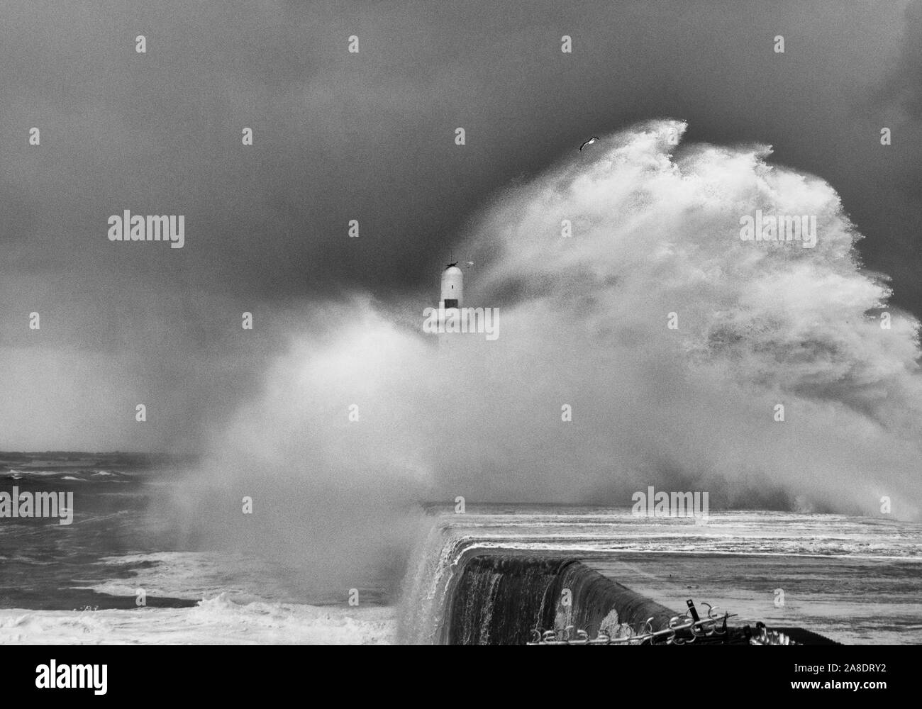 Wintersturm, Aberdeen Leuchtturm Stockfoto