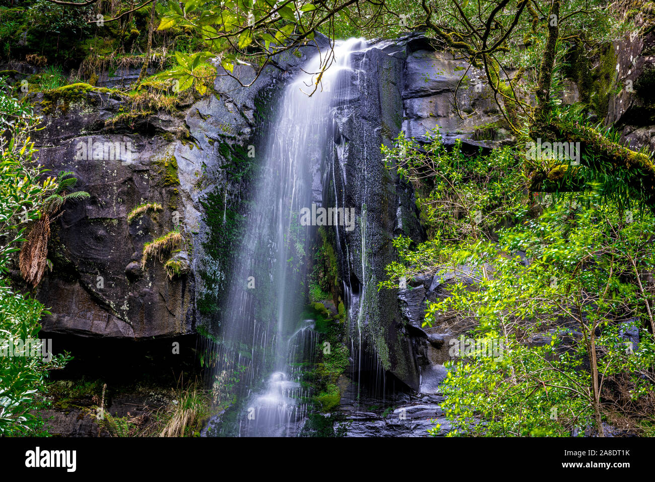 Obere Kalimna fällt in der Great Otway National Park, Victoria, Australien. Stockfoto