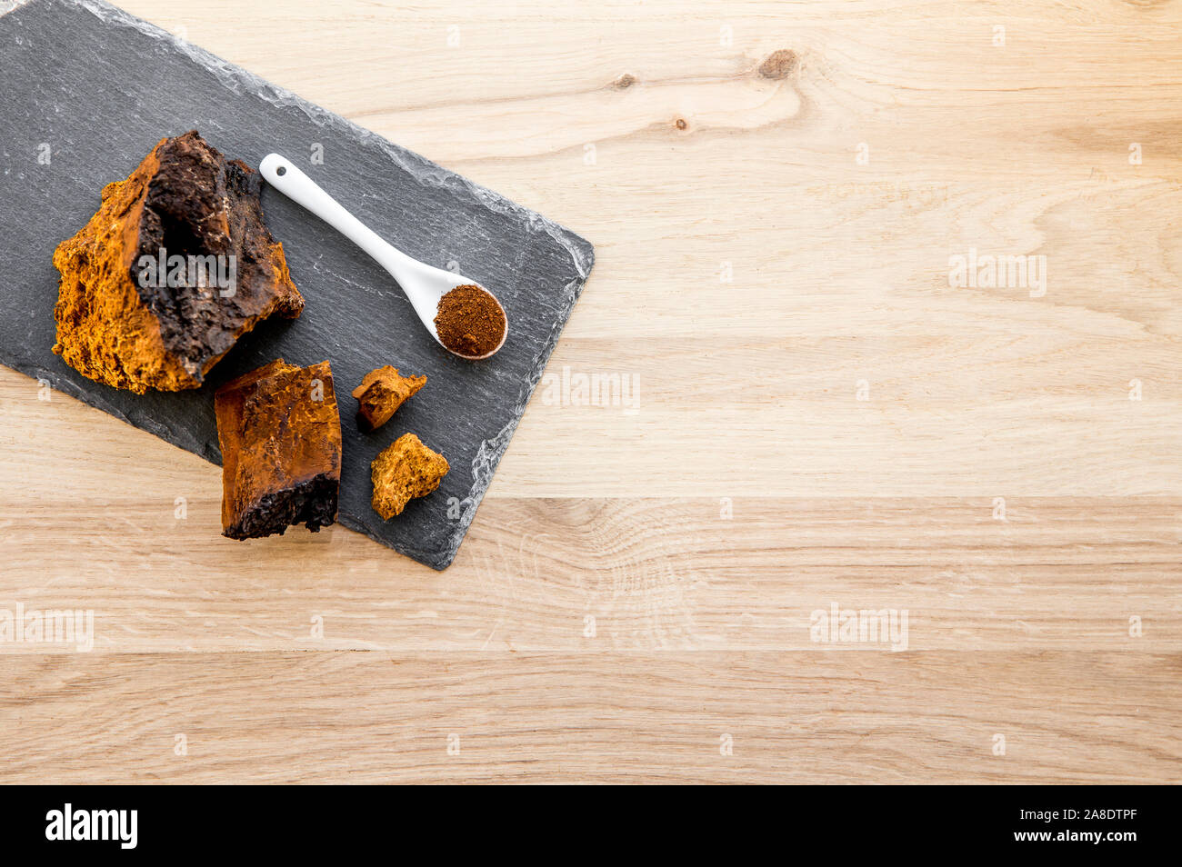 Gesunde reine wild natürliche chaga Pilz, Inonotus obliquus Pulver und Klumpen Form Tee, Kaffee und pflanzliche Heilmittel. Aus Birke trun erfasst Stockfoto