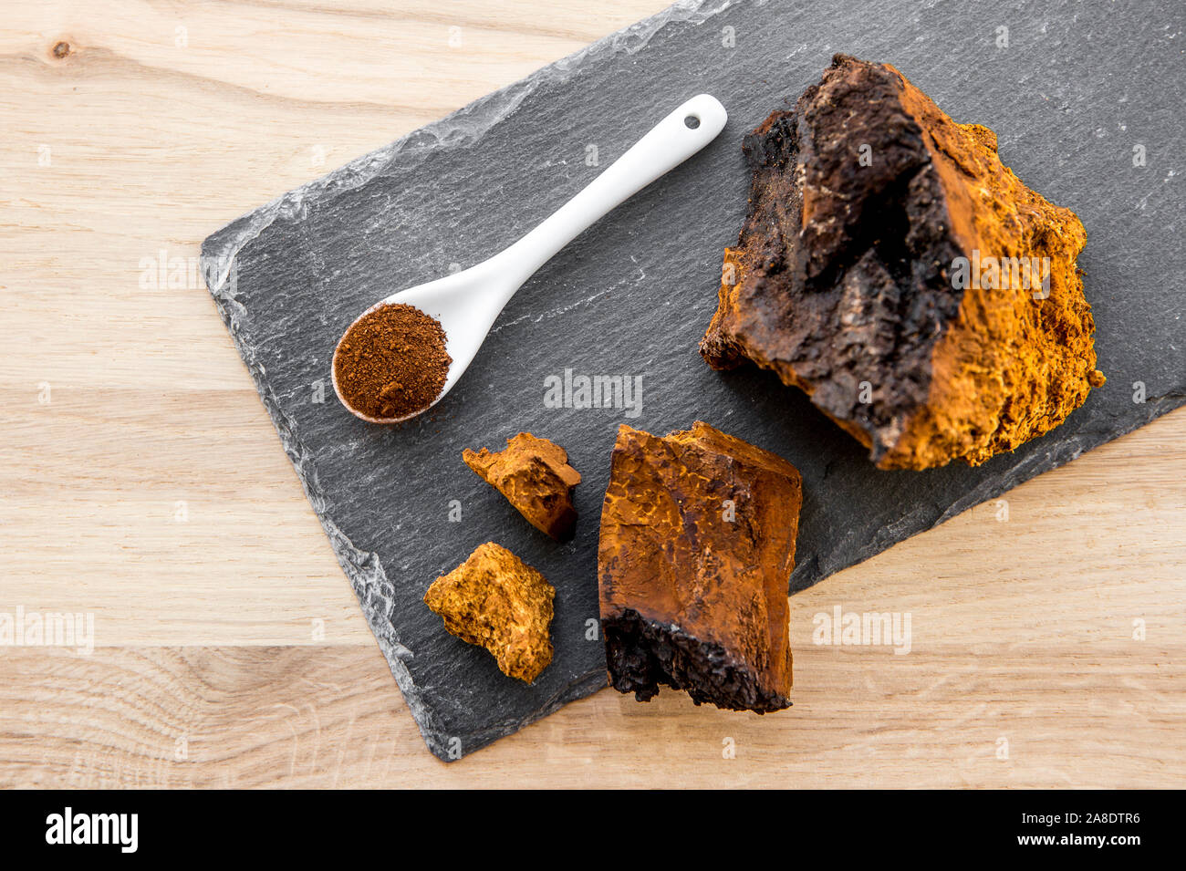 Gesunde reine wild natürliche chaga Pilz, Inonotus obliquus Pulver und Klumpen Form Tee, Kaffee und pflanzliche Heilmittel. Aus Birke trun erfasst Stockfoto