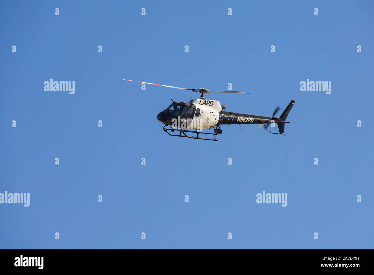 Eurocopter AS 350B2 "ecureuil" des Los Angeles Police Department Air Support Division, Oner Santa Monica, Los Angeles County, Kalifornien, Vereinigte St Stockfoto