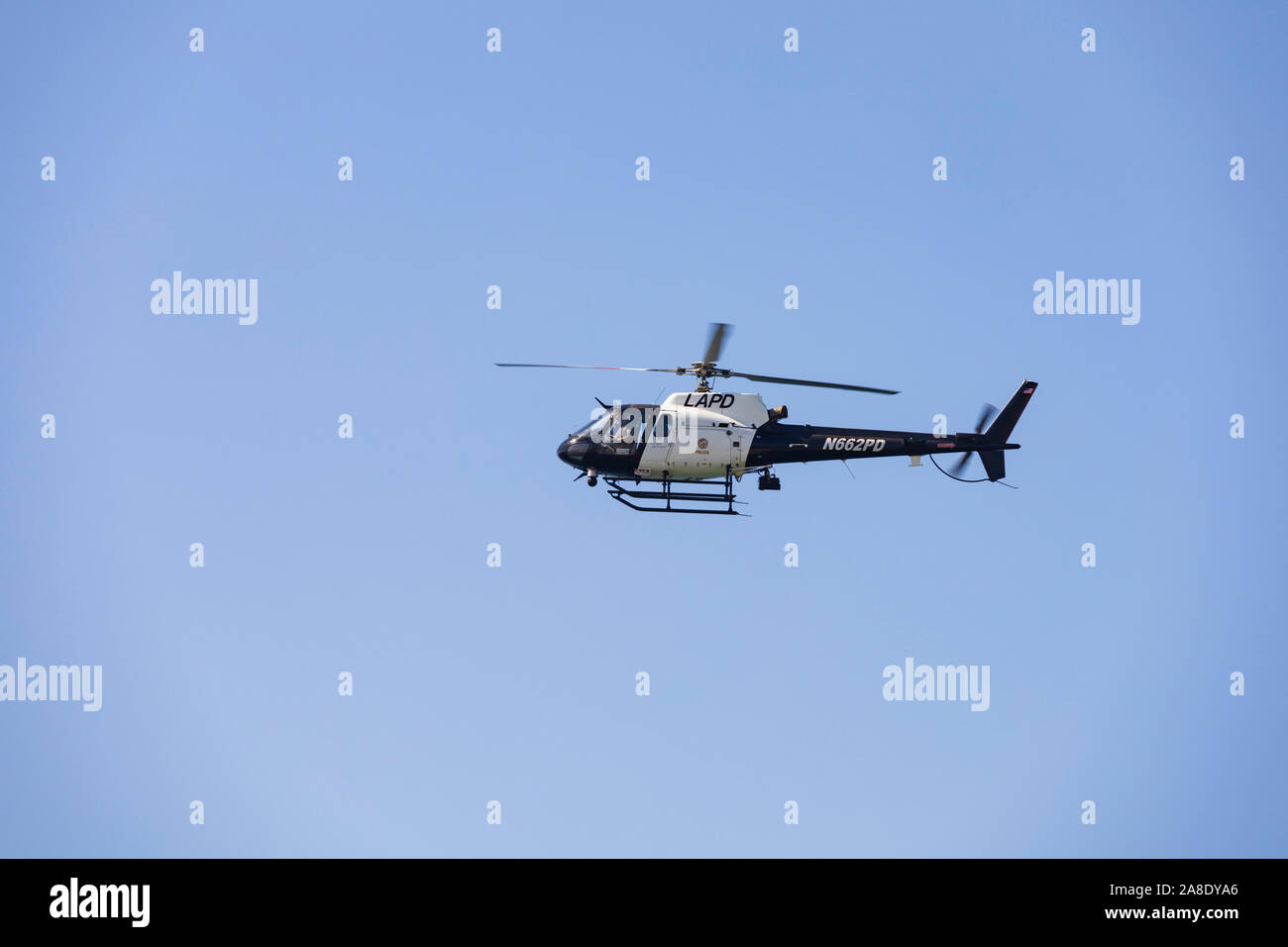 Eurocopter AS 350B2 "ecureuil" des Los Angeles Police Department Air Support Division, Oner Santa Monica, Los Angeles County, Kalifornien, Vereinigte St Stockfoto