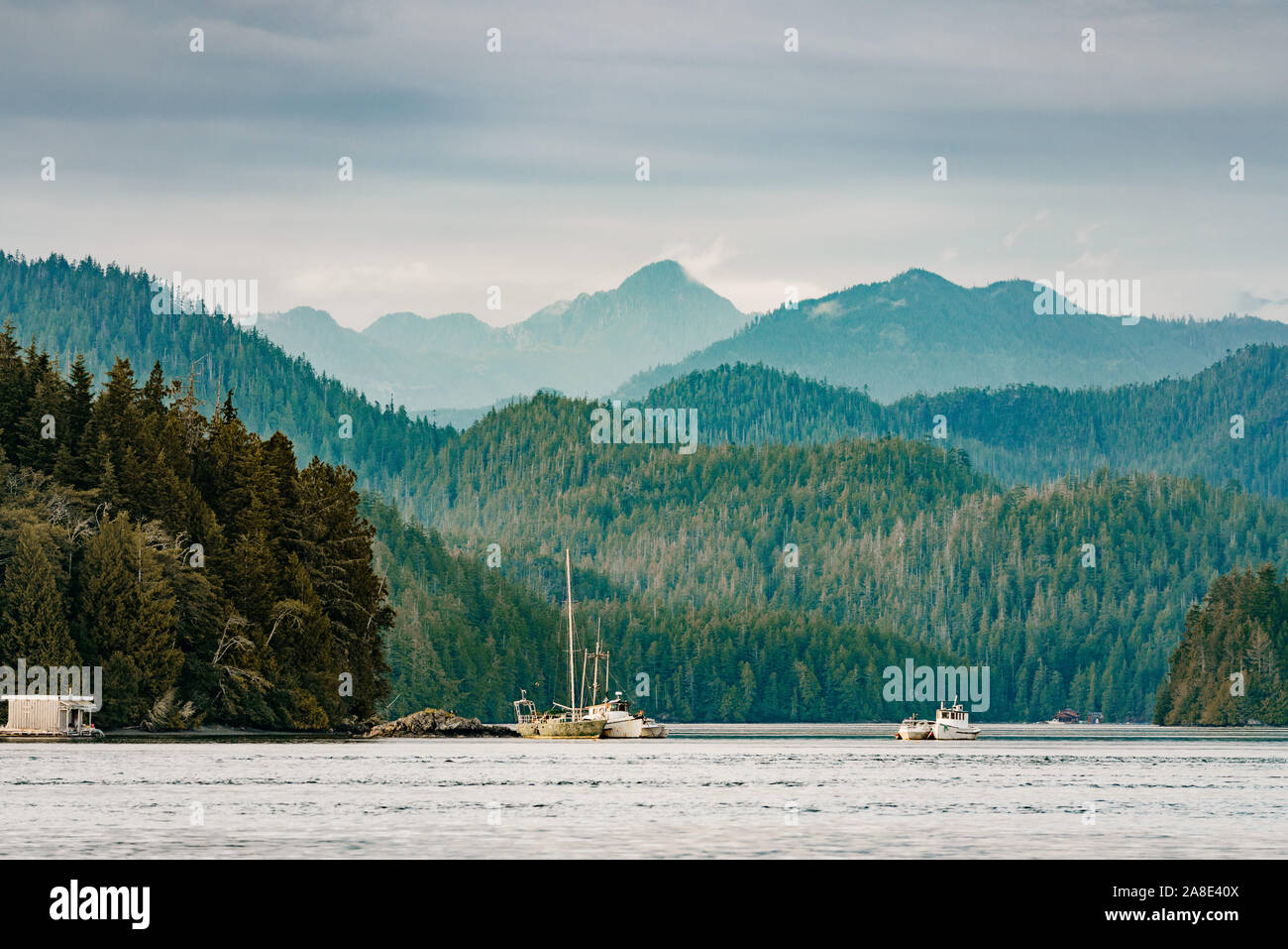 Hafen von Tofino, Vancouver Island. British Columbia, Kanada Stockfoto
