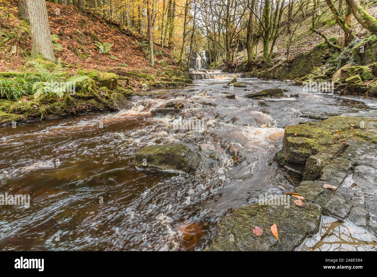 Bogen Lee Beck und Summerhill Kraft Wasserfall, Teesdale, UK im Herbst Stockfoto