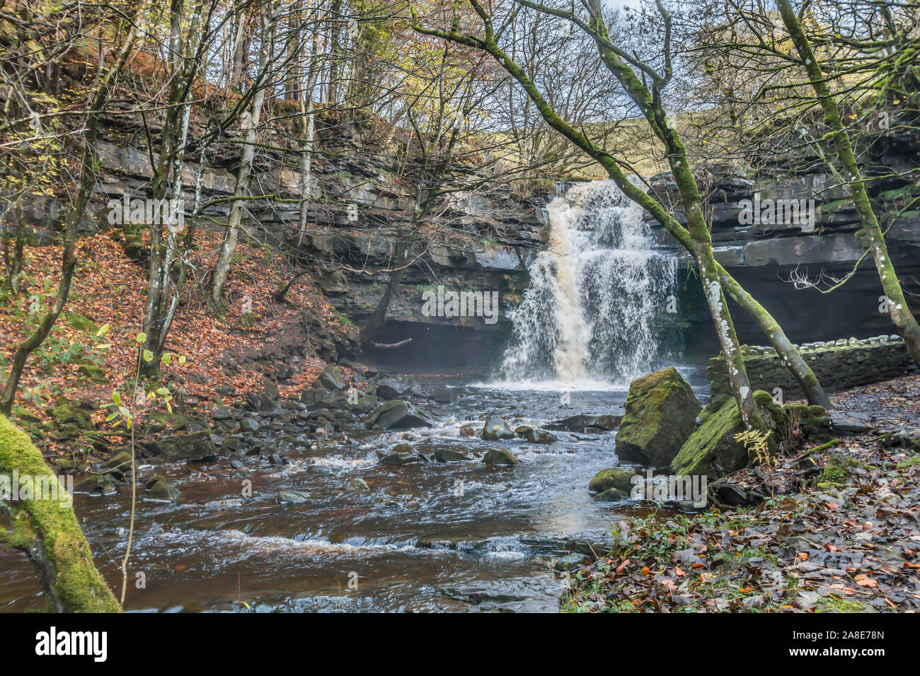 Herbstfarben im Summerhill Kraft Wasserfall und Gibson's Cave, Bug Lee Beck, Teesdale, Großbritannien Stockfoto