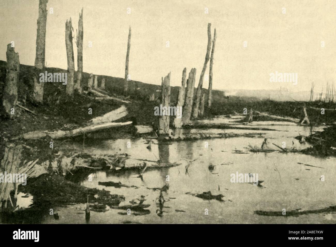 Gestrahlt Bäume am Fluss Ancre, Nordfrankreich, Erster Weltkrieg, 1916, (c 1920). "Die überfluteten Schlacht-Feld: eine Szene auf der Ancre in den letzten Monaten von 1916". Von "Die Große Welt Krieg: Eine Geschichte", Band VI, herausgegeben von Frank eine Mumby. [Das Gresham Publishing Company Ltd., London, c 1920] Stockfoto