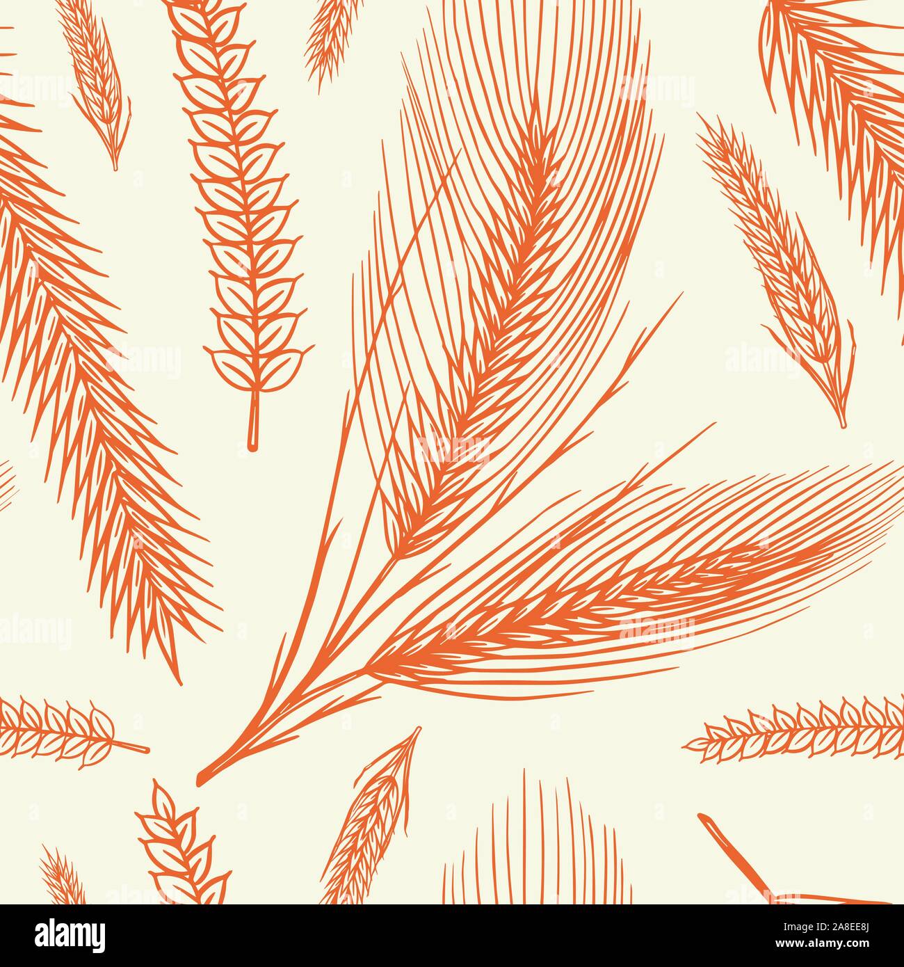 Vintage Weizen nahtlose Muster. Roggen Hintergrund. Mais oder Getreide für Bäckerei Poster. Hand graviert Skizze für Etikett drucken oder Abzeichen. Retro Symbole. Stock Vektor