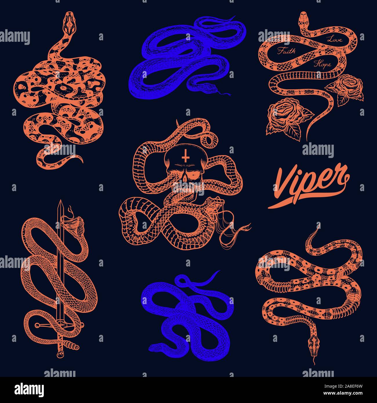 Milch Schlange mit Rosen, Skelett royal Python mit Schädel, neon Reptil mit Schwert, giftige Cobra. Viper Vorlage für Poster oder ein Tattoo. Graviert hand Stock Vektor