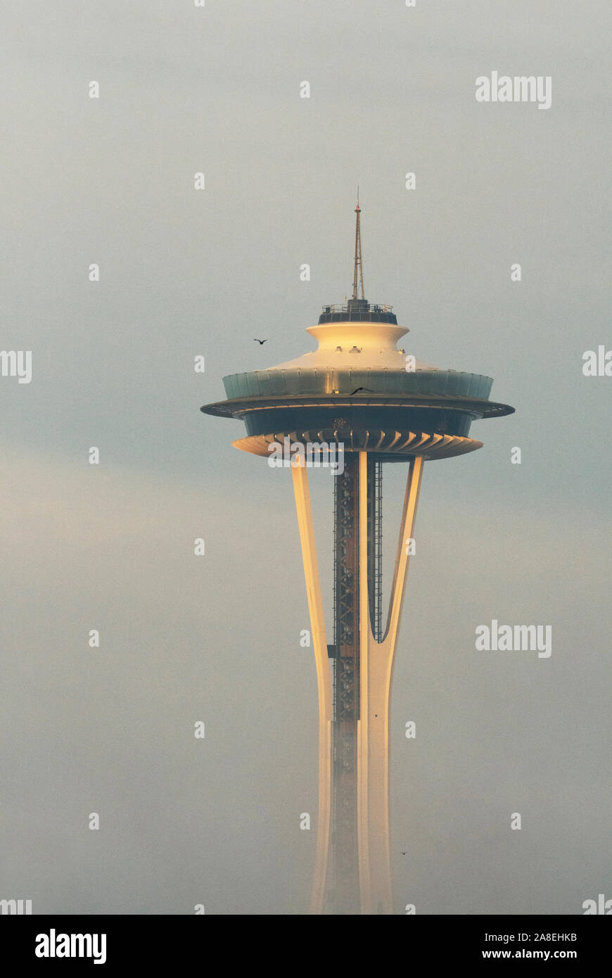 Space Needle auf nebligen Winter morgen, Seattle, Washington Stockfoto