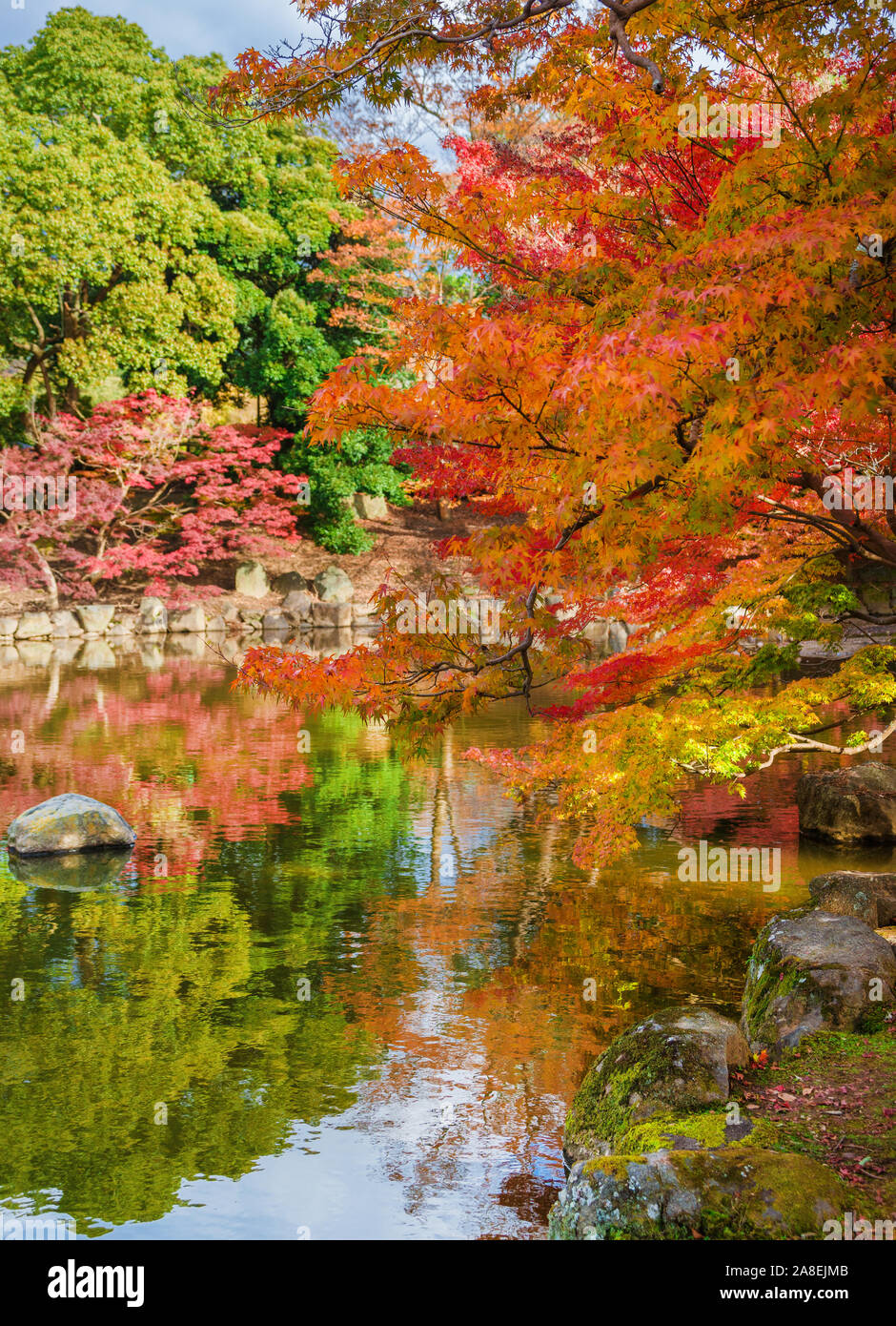 Herbstfarben in Japan. Laub in Nara öffentlichen Park Stockfoto