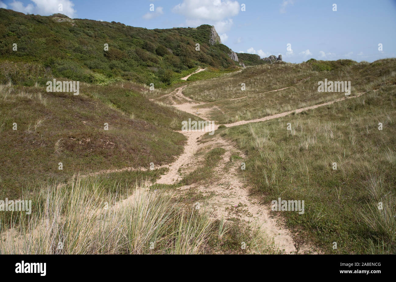 Pfade durch fragile Lebensraum unter den Sanddünen, Oxwich Bay, das Gower, West Wales, Großbritannien Stockfoto