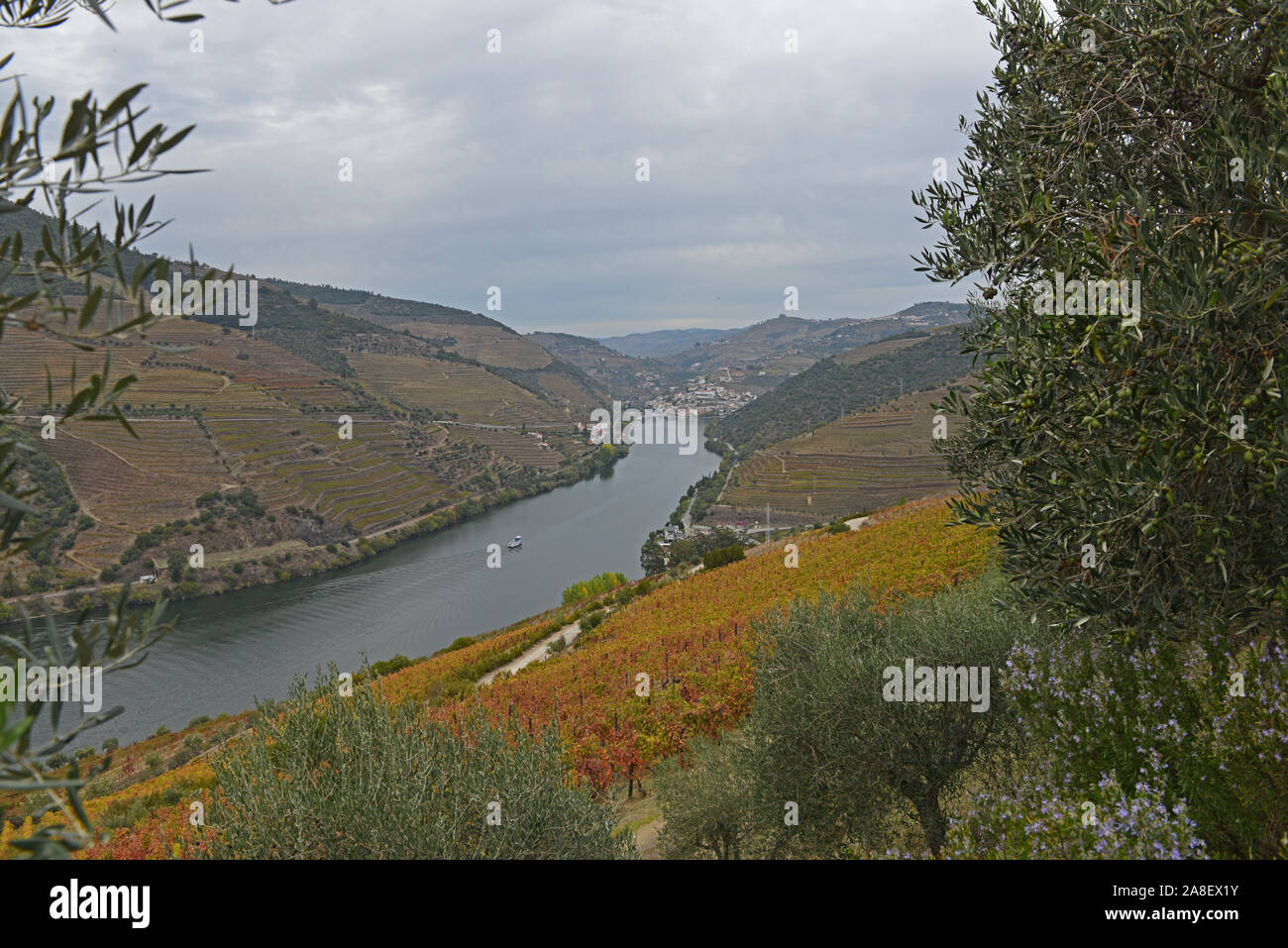 Malerische Fluss Douro Kreuzfahrt Stockfoto