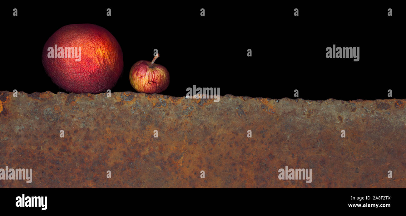 Scanner Foto mit einem Flachbettscanner in extrem hoher Auflösung erstellt Stockfoto