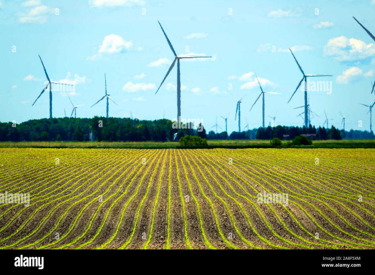 In Caseville Michigan im Daumenbereich von Michigan. Ein windpark oder Wind park, genannt auch eine Windkraftanlage oder Windparks, Stockfoto