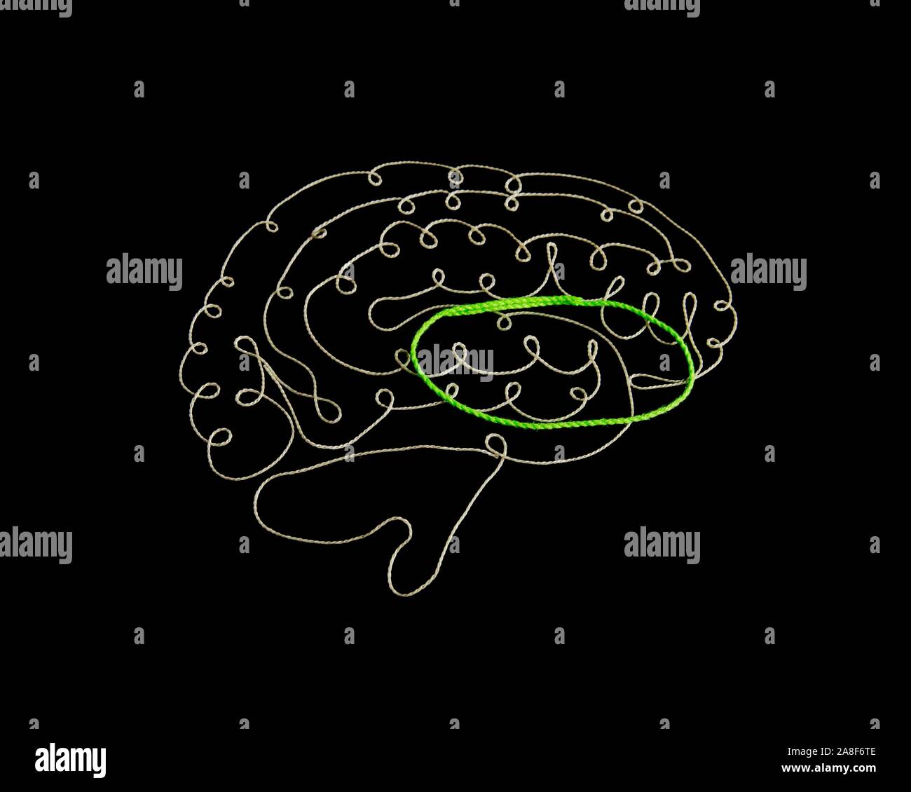 Das Gehirn CBGTC Loop, konzeptionelle Bild Stockfoto