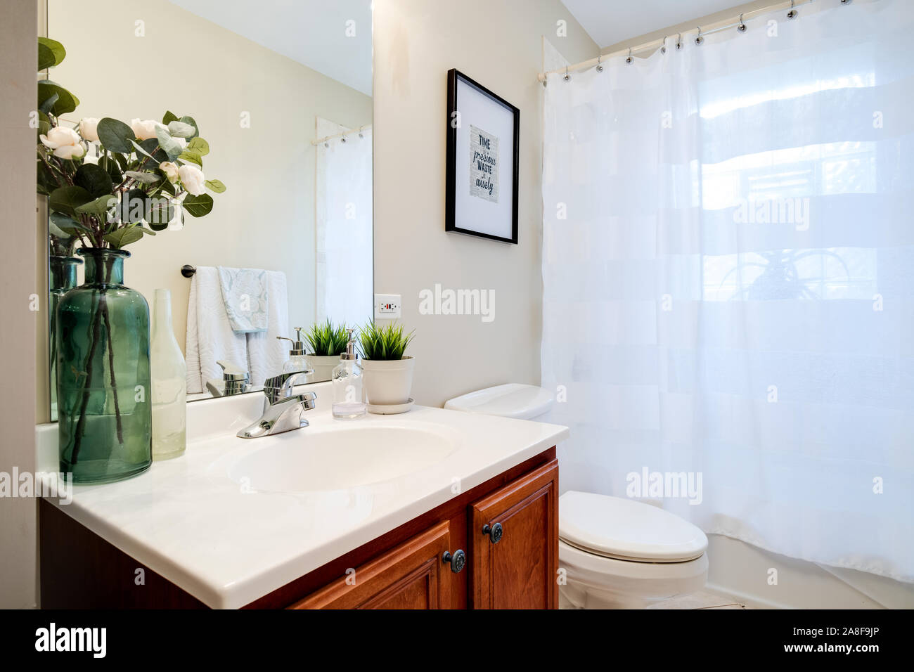 Akzent Pflanzen Stockfotos Und Bilder Kaufen Alamy