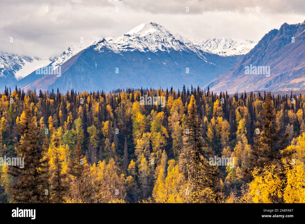 Beendigung Staub, frühen Schnee, fällt über die Alaska Range der Berge entlang der East Fork Chulitna Fluss in Denali State Park in der Nähe von Cantwell, Alaska Stockfoto