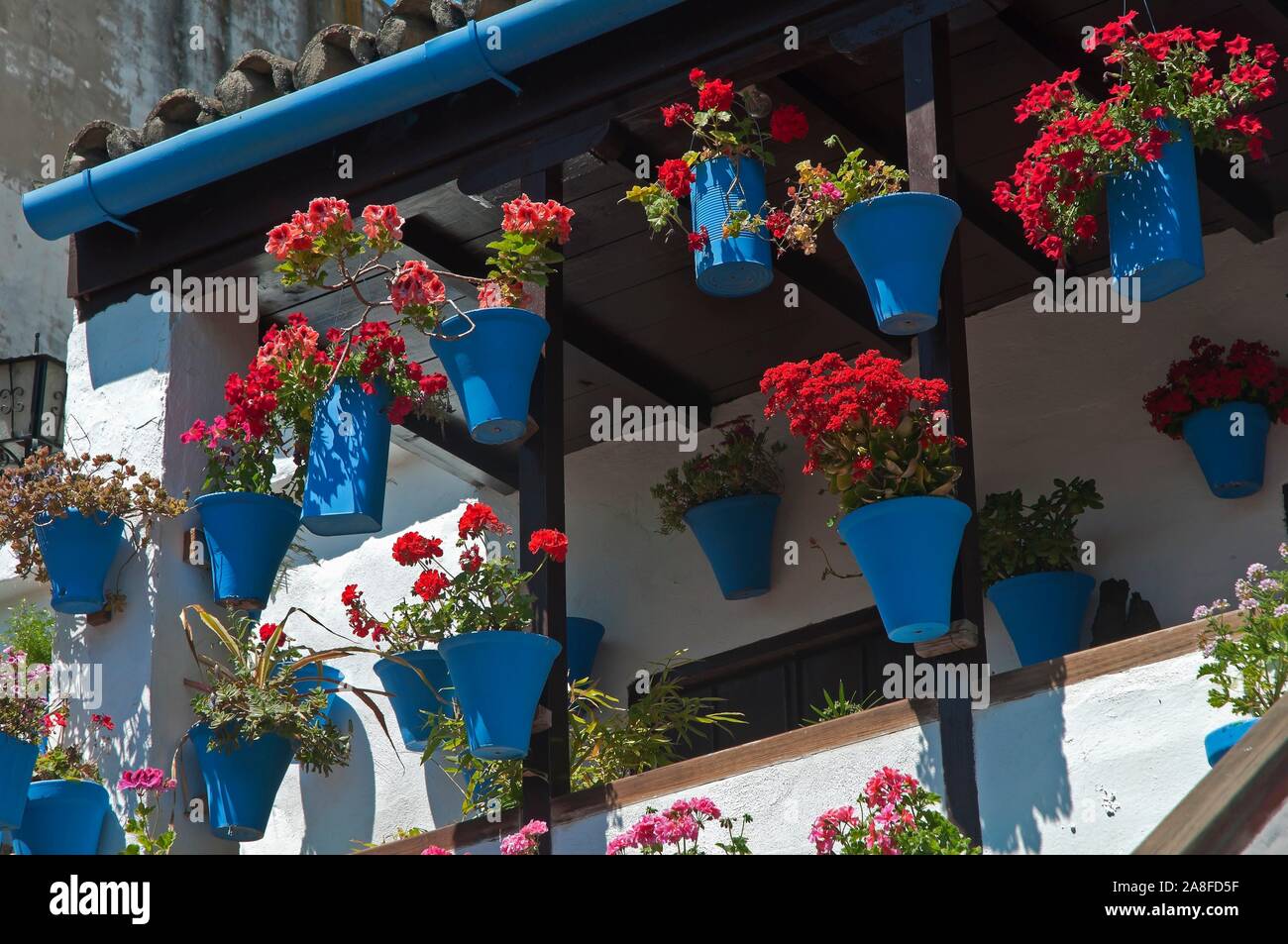 Typische Innenhof - Blumentöpfe, Cordoba, Andalusien, Spanien, Europa. Stockfoto