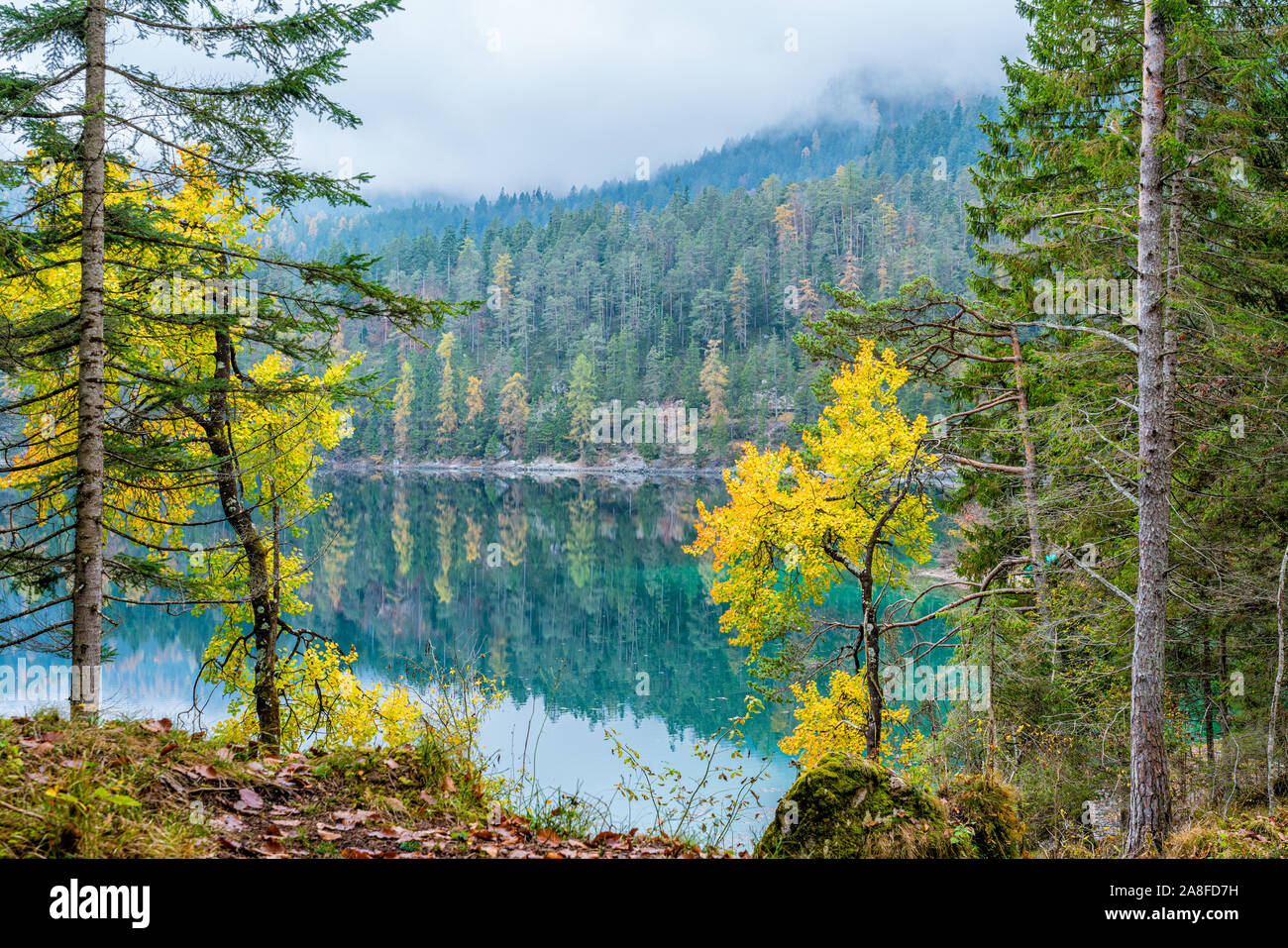 Idyllische herbstliche Ansicht in Lake Tovel, Val di Non, Provinz Trento, Trentino-Südtirol, Italien. Stockfoto