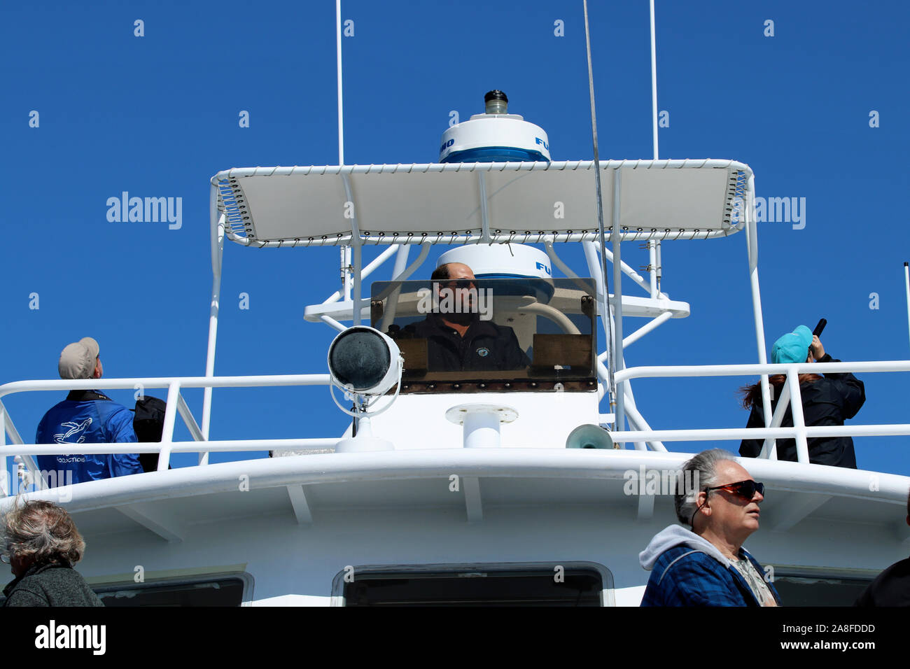 Whale Watch Kapitän an der Brücke eines der Dolphin Fleet Schiffe aus Provincetown, Massachusetts, auf Cape Cod Stockfoto