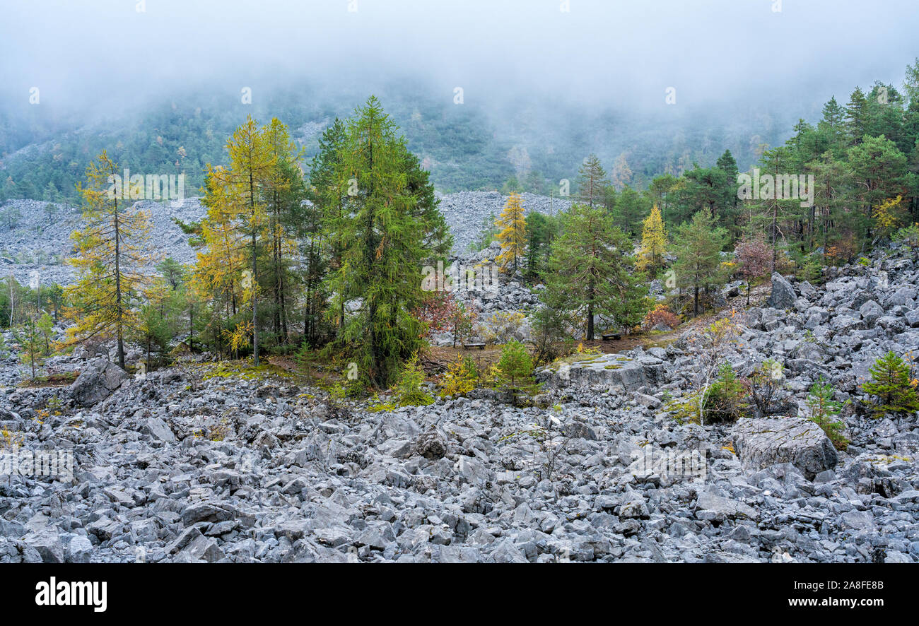 Idyllische herbstliche in der Nähe von Lake Tovel, Val di Non, Provinz Trento, Trentino-Südtirol, Italien. Stockfoto